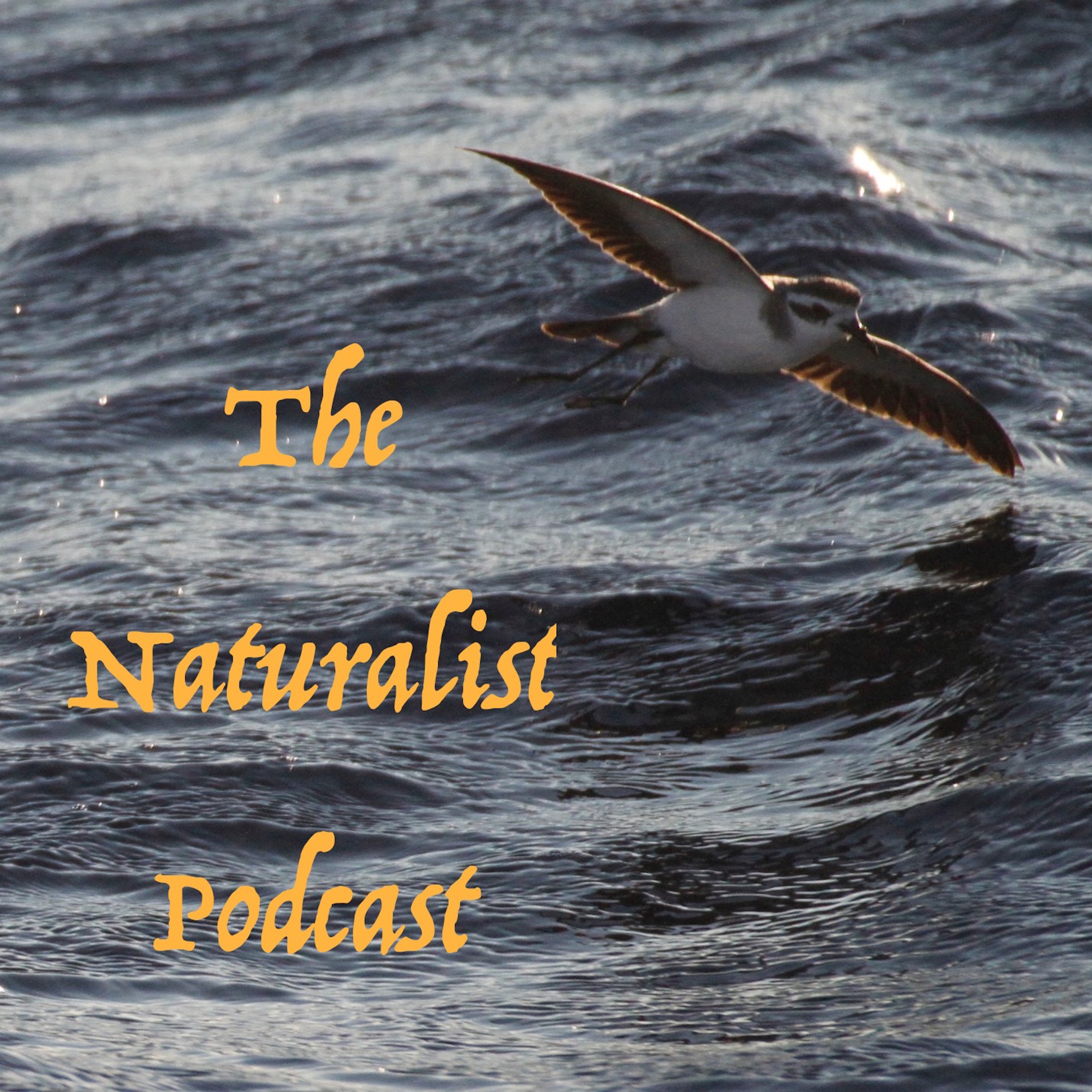 The Naturalist Podcast artwork